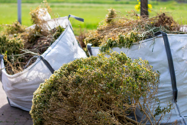 Best Junk Removal Near Me  in Plain City, OH