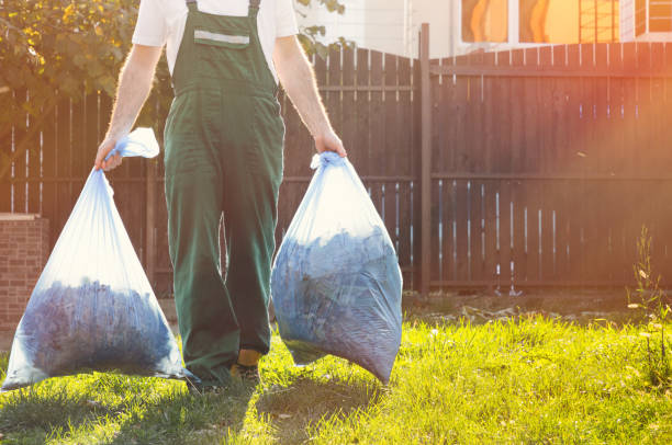 Best Same-Day Junk Removal  in Plain City, OH